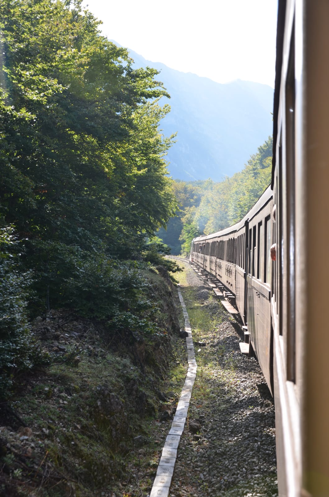 394bcd98-78c0-4ee1-85d9-a7f80082f62c